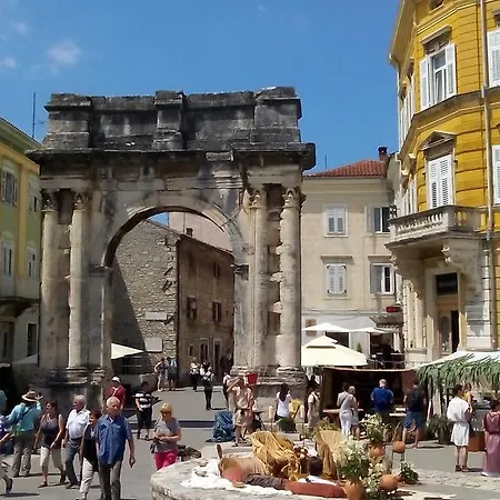 Orchidee * Pula